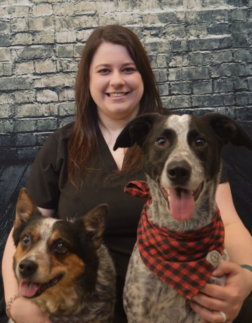 Jordan's Staff Photo from Stevens Point Animal Hospital 